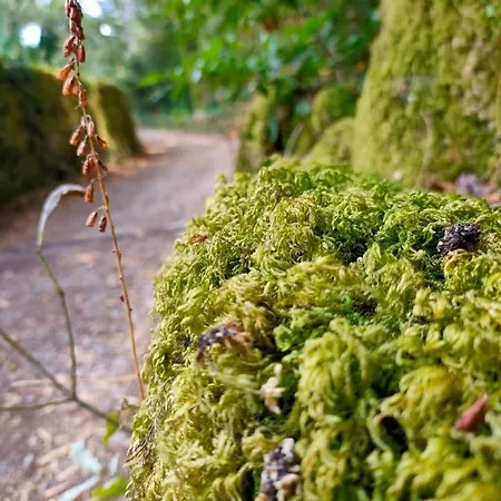 Casa Da Rapadoira Laxoso de Abaixo