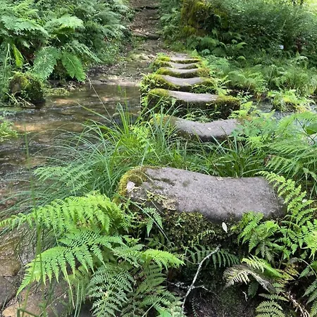 Gospodarstwo wiejskie Casa Da Rapadoira