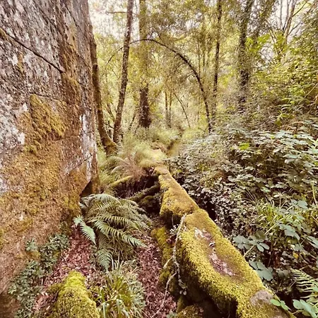 Casa Da Rapadoira Séjour à la campagne