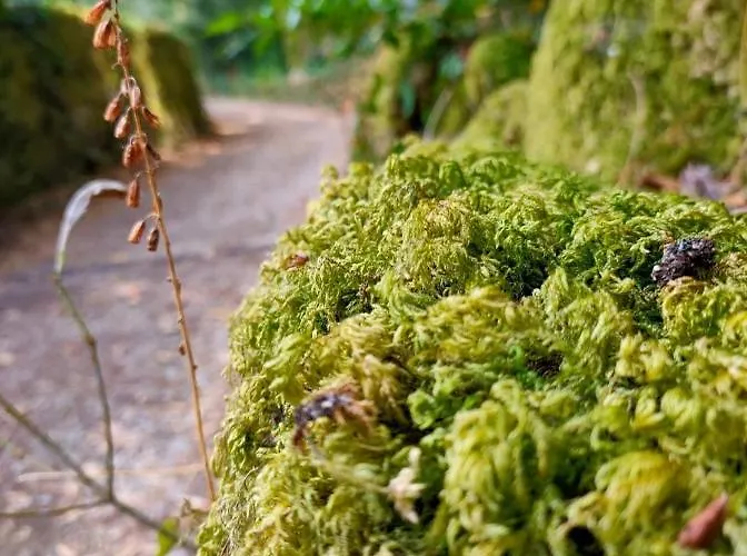 Casa Da Rapadoira Laxoso de Abaixo