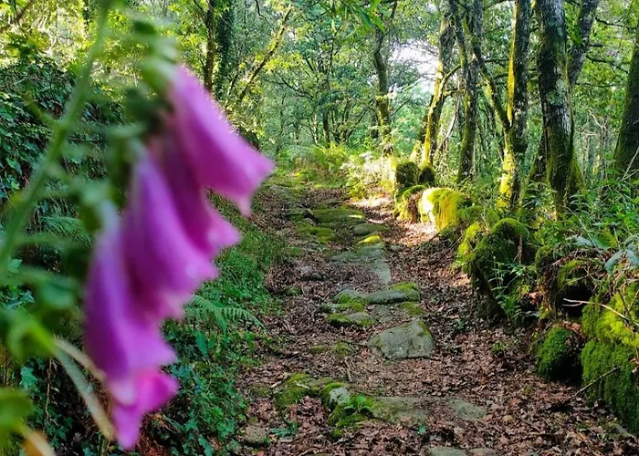 カントリーハウス Casa Da Rapadoira *